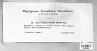 Image Associated With the Occurence
